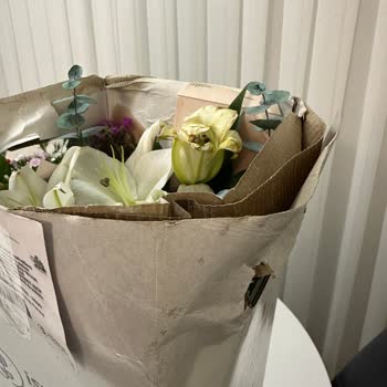 Islak Ve Bozulmuş Çiçek Teslimatı İçin Ücret İadesi Ve Özür Talebi