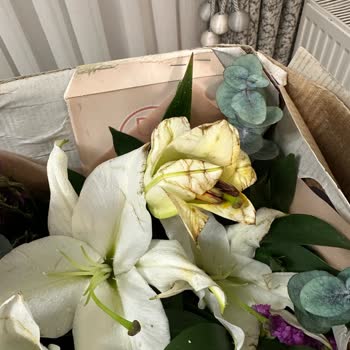 Islak Ve Bozulmuş Çiçek Teslimatı İçin Ücret İadesi Ve Özür Talebi