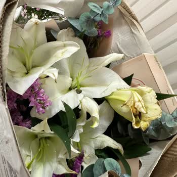 Islak Ve Bozulmuş Çiçek Teslimatı İçin Ücret İadesi Ve Özür Talebi