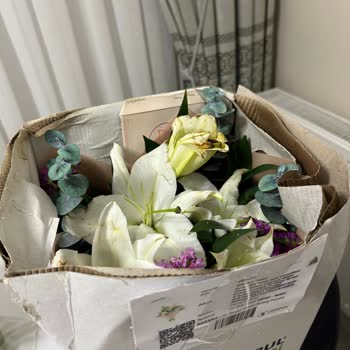 Islak Ve Bozulmuş Çiçek Teslimatı İçin Ücret İadesi Ve Özür Talebi