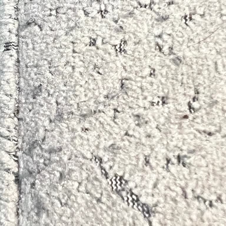 İstikbal Teddy Köşe Takımında Aşırı Tüylenme Ve Çözüm İhmali