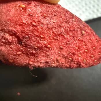 Pols Kurutulmuş Çilek Paketi İçinde Yabancı İplik Ve Bayat Doku