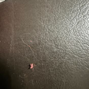 Pols Kurutulmuş Çilek Paketi İçinde Yabancı İplik Ve Bayat Doku