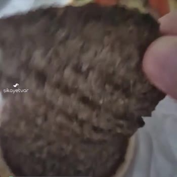 Getir Uygulaması Ve Burger King Skandalı!