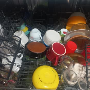 Hoover Bulaşık Makinesinde Temiz Yıkanmama, Gürültü Ve Sepet Tasarımı Sorunları