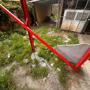 Şok Market Çöp Atma Ve Kedilere Yönelik Tehdit Sorunu