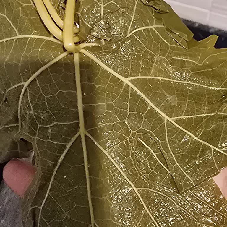 @tokatyaprakcim Bozulmuş Tarhana Ve Yapraklar, Satıcı Şikayetimizi Engelledi