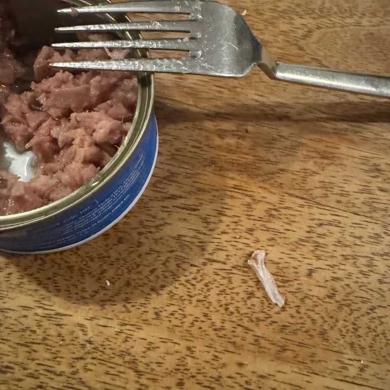 Dardanel Ton Balığında Kılçık Sorunu Ve İade Talebi