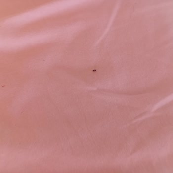 Barbarossa Hotel & Villas Odanın Hijyen ve Konfor Sorunu Giderilmedi