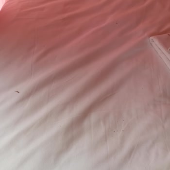 Barbarossa Hotel & Villas Odanın Hijyen ve Konfor Sorunu Giderilmedi