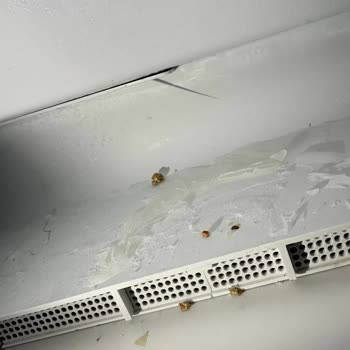 Dondurucu Bölümünde Buz Birikmesi Ve Servis Ücreti İadesi Talebi