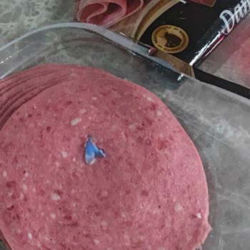 BİM Kocaeli Şubesinde Satın Alınan Salamda Plastik Parça Bulunması