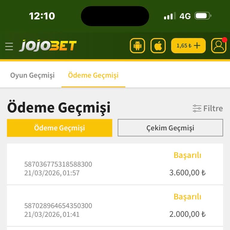 İki Havale Yapıldı, Biri Hesaba Yansımadı