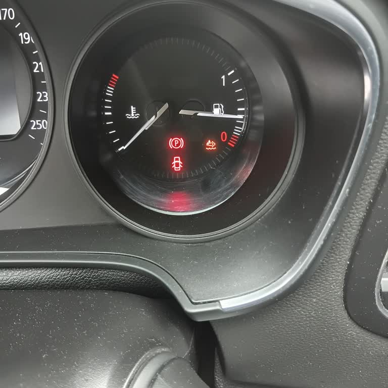 Renault Megane’de Ad Blue Uyarı Ve İkaz Işığı Sorunu İçin Acil Kontrol Talebi