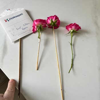 Çiçek Sepeti Şikayeti