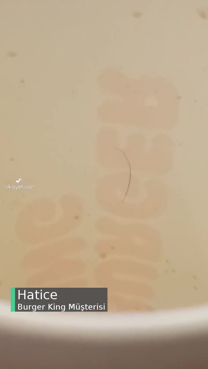 Burger King Kolamın İçindeki Kıl videonun kapak resmi