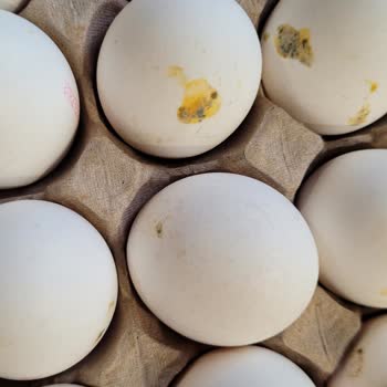 Migros’tan Gelen Bilken Yumurtalarında Küf Ve Sağlık Riski