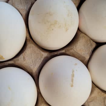 Migros’tan Gelen Bilken Yumurtalarında Küf Ve Sağlık Riski