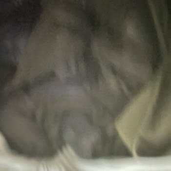 Arçelik Çamaşır Makinesi Tekrar Arızalı ve Tehlikeli, Yeni Ürün Talebi