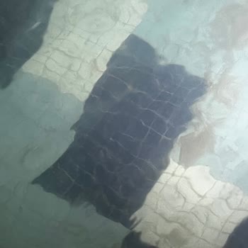 Grand Termal Yalova Resort Hotel & Spa Hiçbir Şekilde Havlu Temin Edilmedi