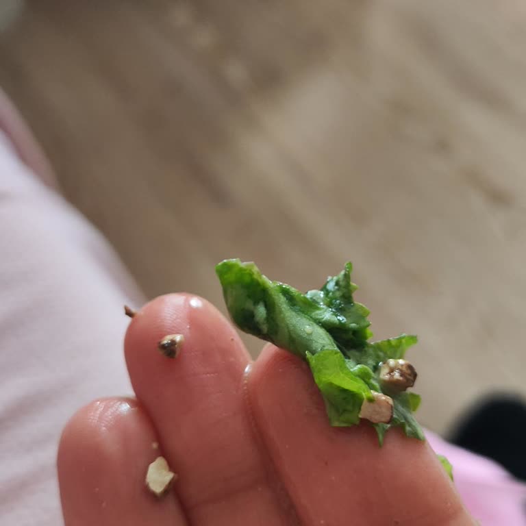 Foodhut Restaurant & Cafe Hem Ürün İçeriği Vaat Edilenden Çok Eksik Hem De Hijyen Açısından Sorunlu