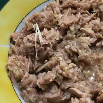 Ton Balığındaki Sert Parça Gıda Güvenliği Sorunu