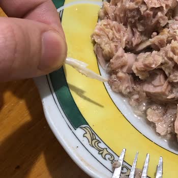 Ton Balığındaki Sert Parça Gıda Güvenliği Sorunu