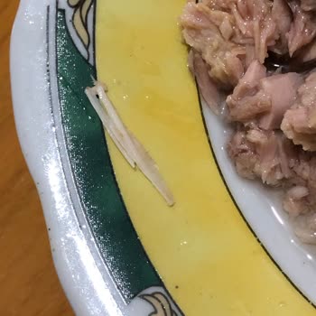 Ton Balığındaki Sert Parça Gıda Güvenliği Sorunu