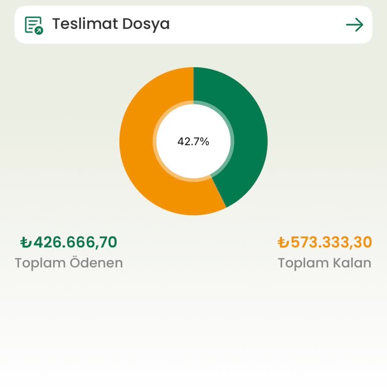 Ana Paranın Geri Ödenmemesi Ve Uzun Süreli Gecikme Şikayeti