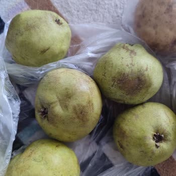 Çürük Meyve Ve Sebze Ürünleri, Kurye Gelmemesi Ve İade Sorunları