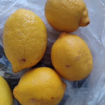 Çürük Meyve Ve Sebze Ürünleri, Kurye Gelmemesi Ve İade Sorunları