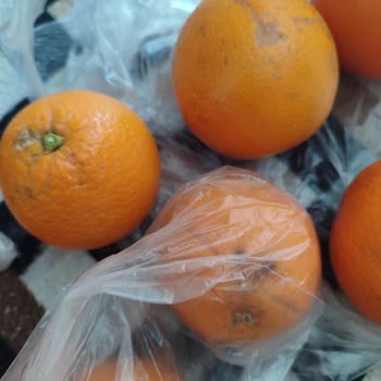 Çürük Meyve Ve Sebze Ürünleri, Kurye Gelmemesi Ve İade Sorunları