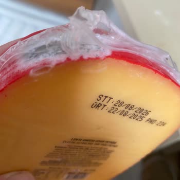 Uzun Son Kullanma Tarihli Edam Peyniri Küf Kaplaması Güven Kırıcı