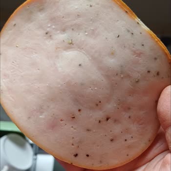 Pınar Et Ve Süt Hindi Füme Küflü Çıktı