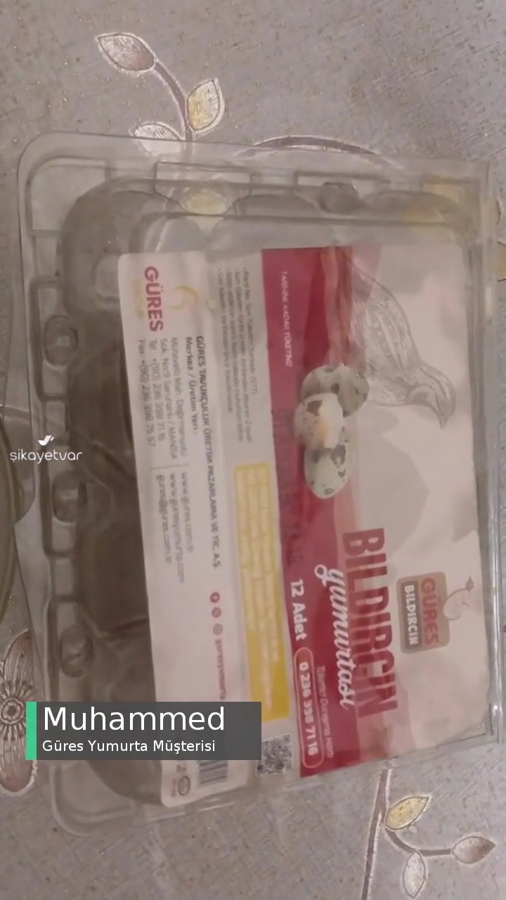 Güres Bıldırcın Yumurtalar Çürük! videonun kapak resmi