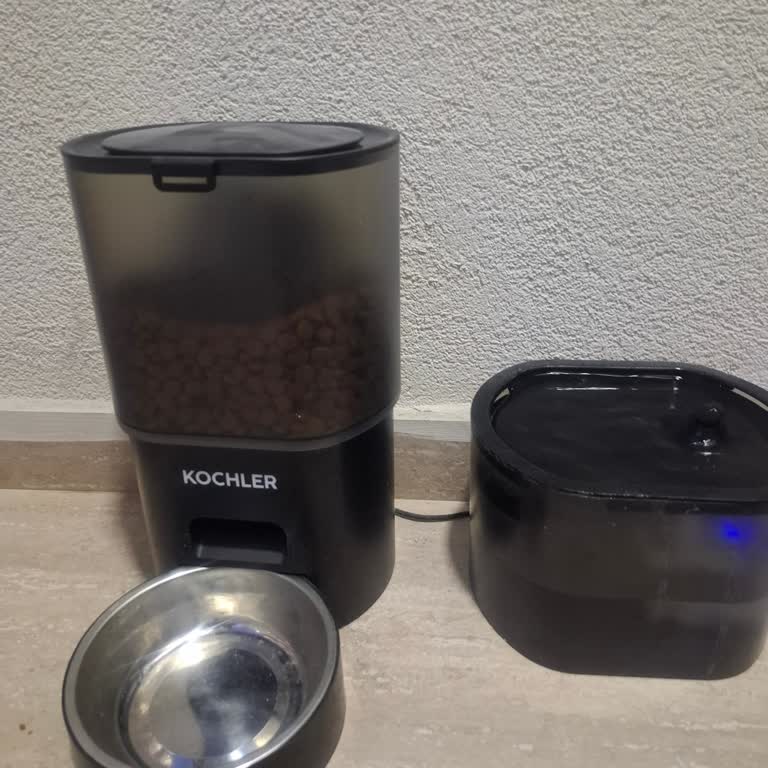 Kochler Kedi Mama Kabı Zamanlaması Bozuk, Destek İlgisiz Ve Söz Verilen Parçalar Ücretli