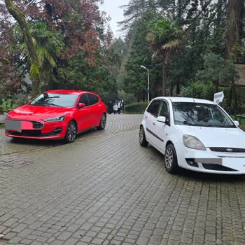 Yalova Termal’da Yasak Alanlara Araç Parkı Çevreyi Ve Vatandaşları Tehdit Ediyor