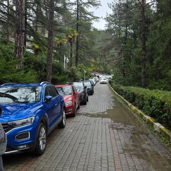 Yalova Termal’da Yasak Alanlara Araç Parkı Çevreyi Ve Vatandaşları Tehdit Ediyor