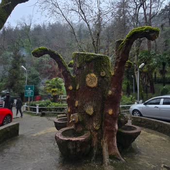 Yalova Termal’da Yasak Alanlara Araç Parkı Çevreyi Ve Vatandaşları Tehdit Ediyor