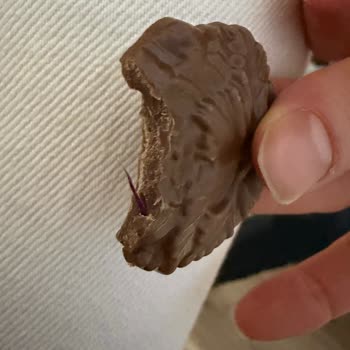 Koska’dan Aldığım Çikolatadan Mor Renkli Bir Plastik Parça Çıktı