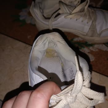 Puma Ayakkabısında Hızlı Yırtılma Ve Müşteri Hizmetinde Cevap Yokluğu