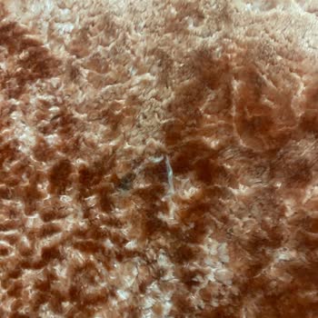 Pierre Cardin Halısının Kısa Sürede Kalite Sorunu Ve Değişim Talebi