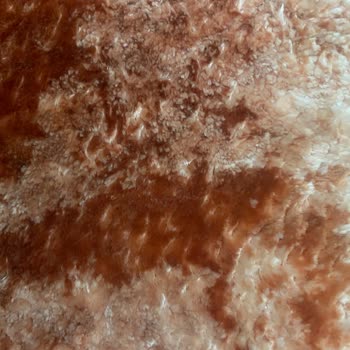 Pierre Cardin Halısının Kısa Sürede Kalite Sorunu Ve Değişim Talebi