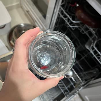 Beko Bulaşık Makinesinde Sürekli Kirli Ve Islak Çıktı Sorunu Ve Çözüm Bulamayan Servis