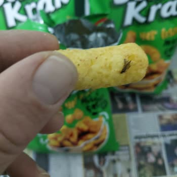 Cips Paketi İçinde Sinek: Hijyen İhlali Ve Güven Kaybı