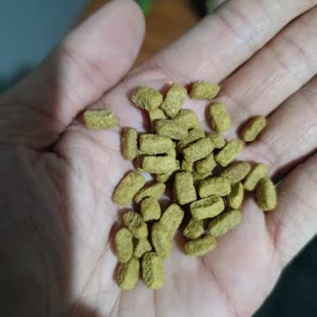 Pro Plan Somonlu Kedi Maması Renk Değişikliği Ve Sağlık Sorunu Nedeniyle İade Talebi