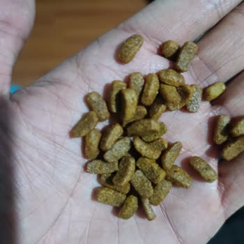 Pro Plan Somonlu Kedi Maması Renk Değişikliği Ve Sağlık Sorunu Nedeniyle İade Talebi