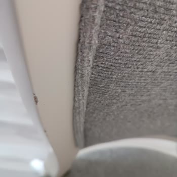 Boya Çatlamaları Ve Dökülmesi Nedeniyle Ürün Kısa Sürede Kullanılamaz Hale Geldi