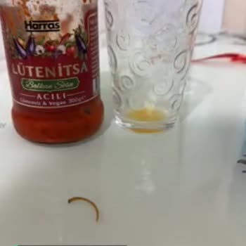 Harras Lutenitsa İçinden İnsan Tırnağı Çıktı