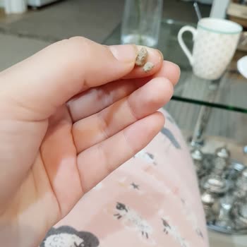 Migros Kuruyemiş Paketi İçinde Taş Bulunması Gıda Güvenliğini Sarsıyor